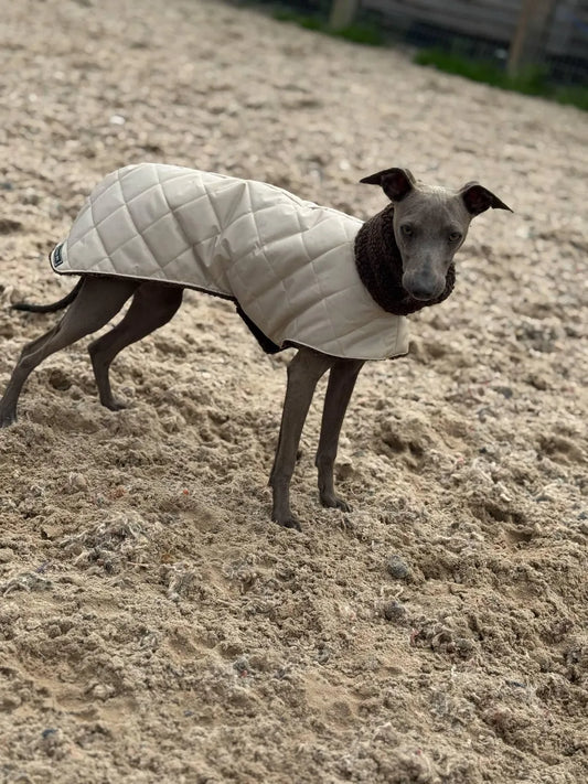 Waterproof Quilted Italian Greyhound Coat: Sherpa Fleece Lined Winter Iggy Coat.