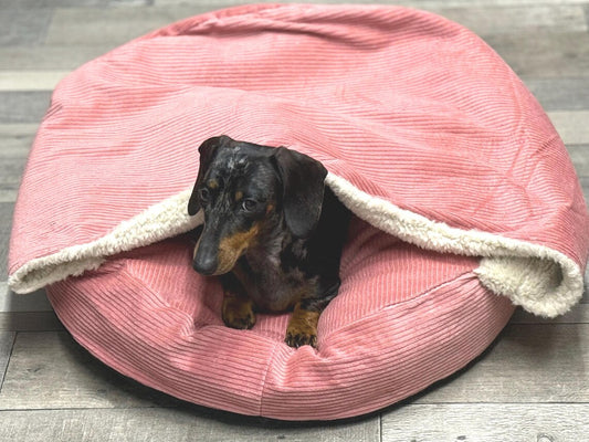 Personalized Corduroy Dachshund Bed Cave: Snuggle Sack,borrowing bed.