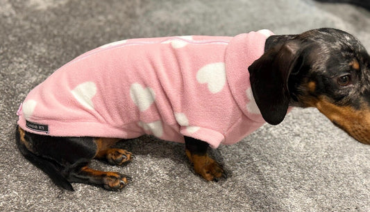 Dachshund Fleece Jumper: Water & Mud Repellent Dog Polo Neck