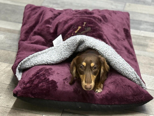 Personalized Dachshund Snuggle borrowing bed . Dog Bed Cave