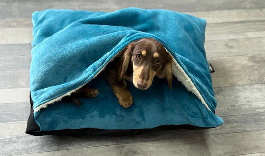 Dachshund Fleece Bed Cave: Small Dog Snuggle Sack, Personalized Sleeping Bag.