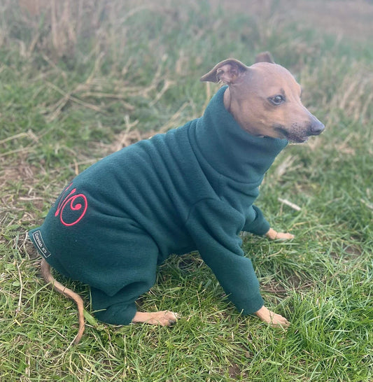 Italian Greyhound Fleece Onesie: Water Repellent Dog Jumpsuit.