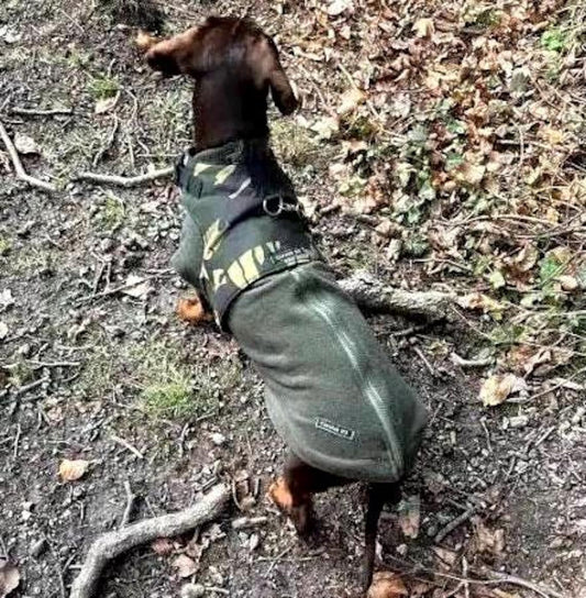Dachshund Fleece Jumper: Water Repellent Dog Coat