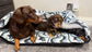 Corduroy Dachshund Bed Cave: Sherpa Fleece Snuggle Sack, Personalized Dog Sleeping Bag