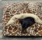 Cuddle Fleece Dog Bed Cave: Dachshund Snuggle bed Personalized borrowing den.