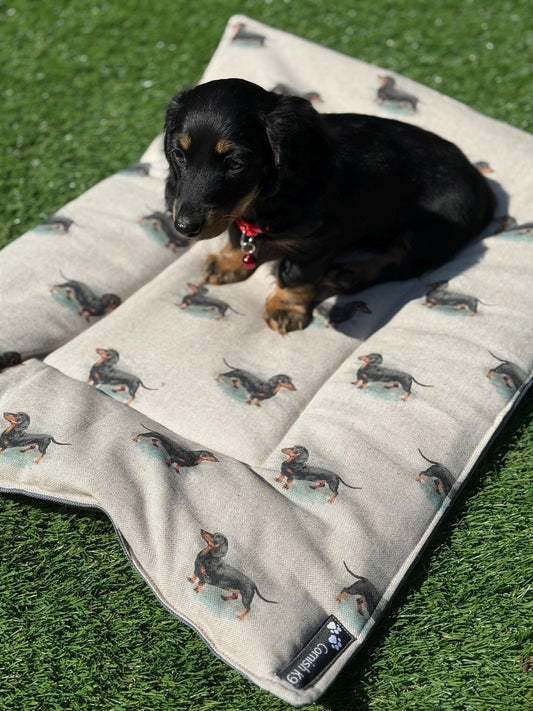 Dog Travel Roll Mat: Cotton Canvas, Waterproof Base.