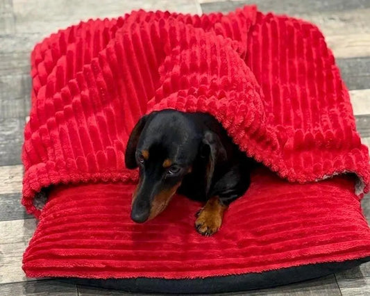 Corduroy Dog Bed Cave: Personalized Snuggle Sack Sleeping Bag
