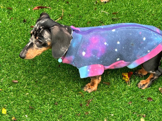 Dachshund Fleece Dog Jumper: Water Resistant Galaxy Print.