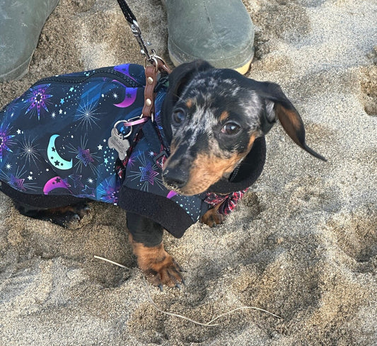 Waterproof Dachshund zipped jumper Softshell Dog Coat Mud Repellent.