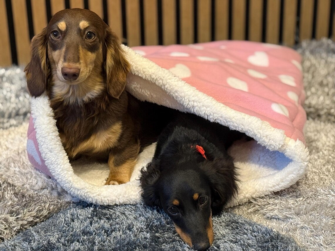 Padded Polar Fleece Dog Snuggle Sack: Dachshund Burrow Bed.