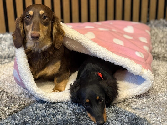 Padded Polar Fleece Dog Snuggle Sack: Dachshund Burrow Bed.