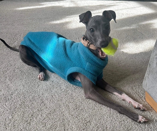 Italian Greyhound Fleece Jumper: Water & Mud Repellent Dog Jacket.
