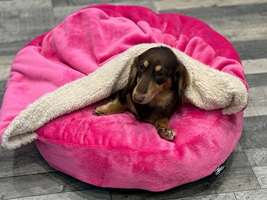 Personalized Dachshund Snuggle Bed Cave: Sherpa Fleece Dog Cuddle Bed