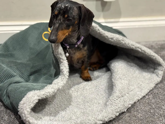 Padded Corduroy Dog Snuggle Sack: Sherpa Fleece Lined