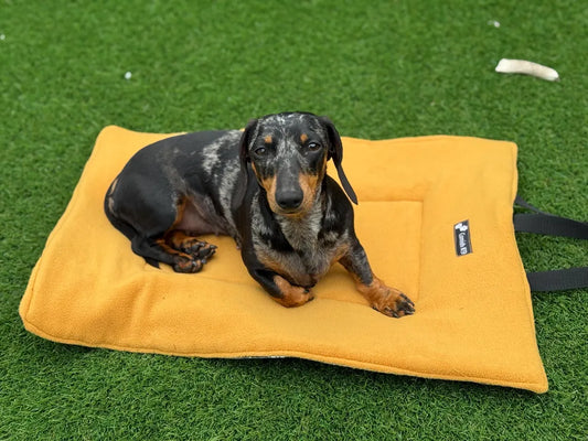 Tartan Quilted Dog Travel Mat: Reversible Fleece Picnic Pad.