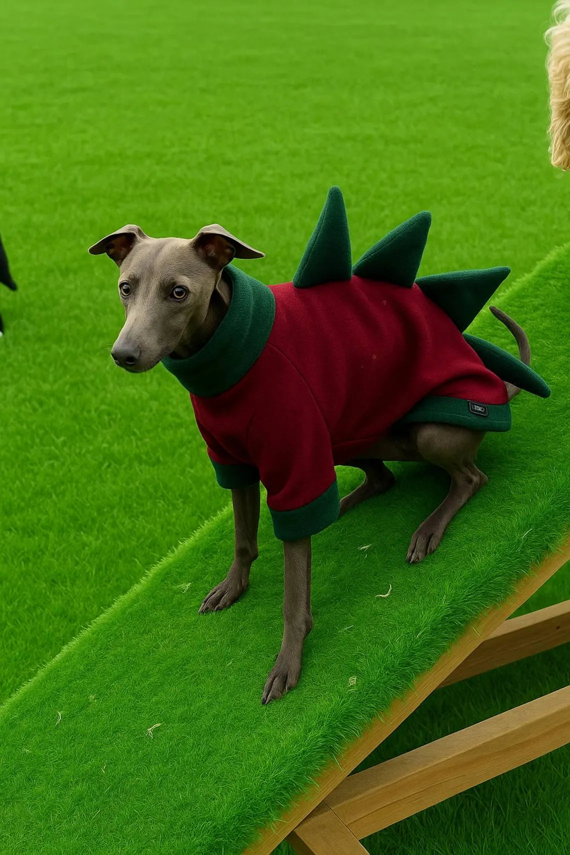 Italian Greyhound Fleece Jumper: Dino Leg, Water & Mud Repellent.