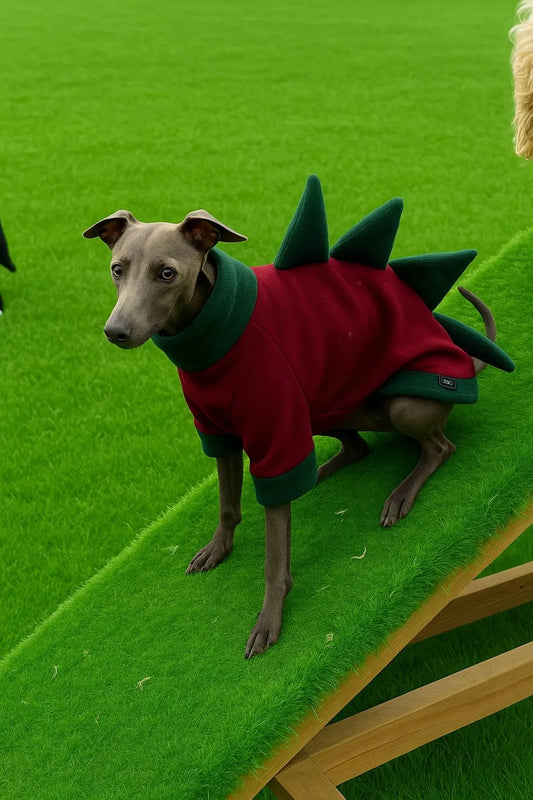 Italian Greyhound Fleece Jumper: Dino Leg, Water & Mud Repellent.