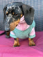 Dachshund  zipped neck  fleece ,dog jumper,dachshund legged jumper ,dachshund jumper , dachshund fleece,dachshund fleece jacket
