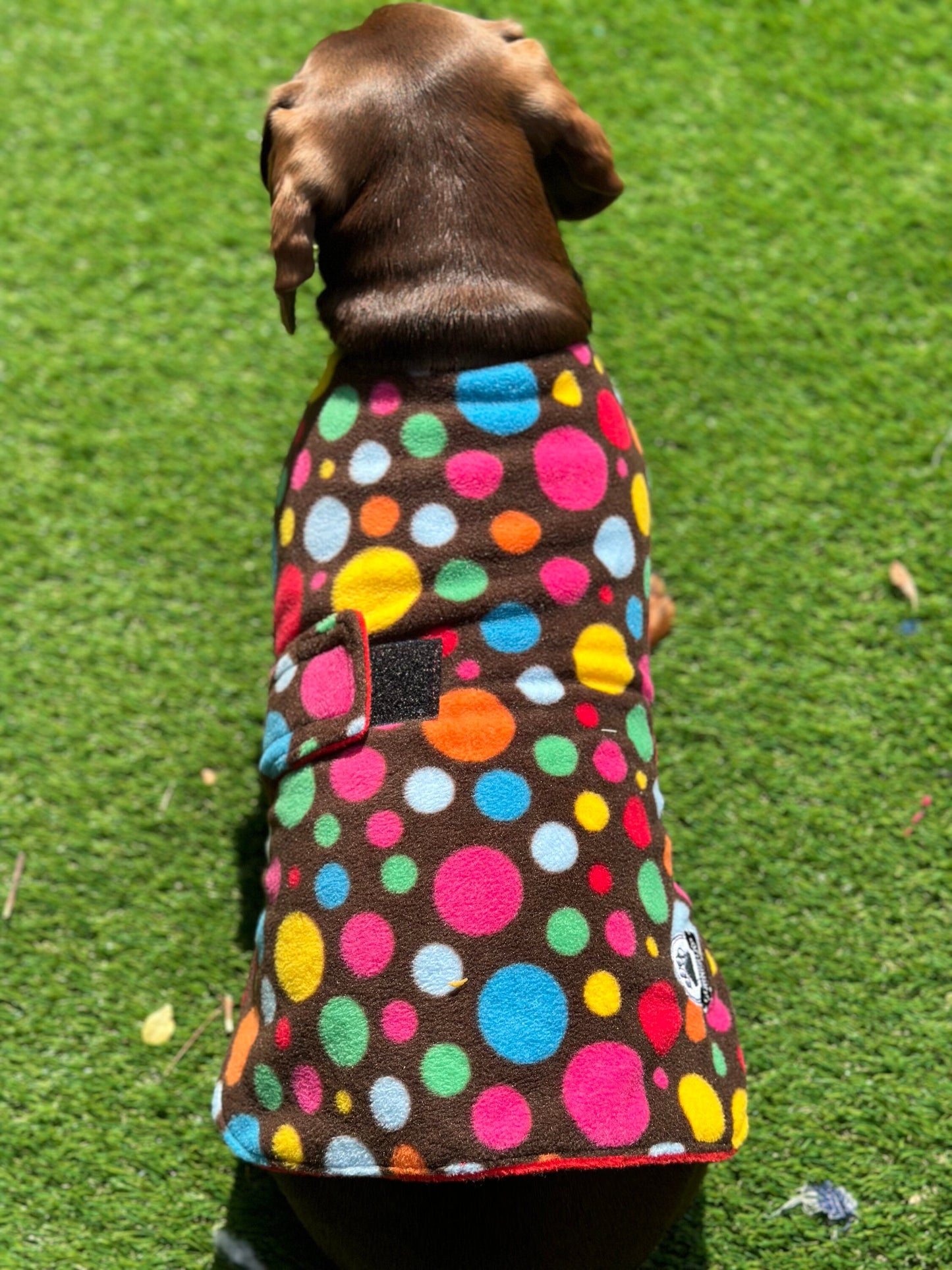 Polka Dot Fleece Dachshund Dog Coat: Water Repellent, Handmade