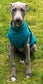 Cotton Jersey Italian Greyhound Cooling Top: Washable Dog Jumper