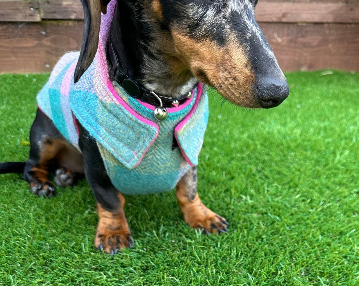 Harris Tweed Dachshund Coat: Fleece Lined Wool Dog Jacket