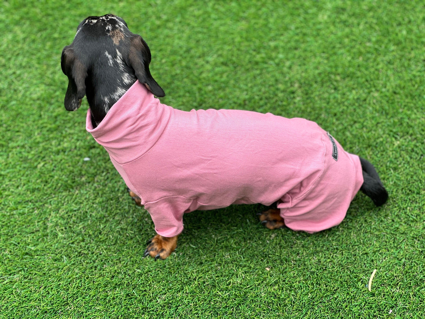 Dachshund Cotton Jersey Onesie: Cooling Pajama Jumpsuit