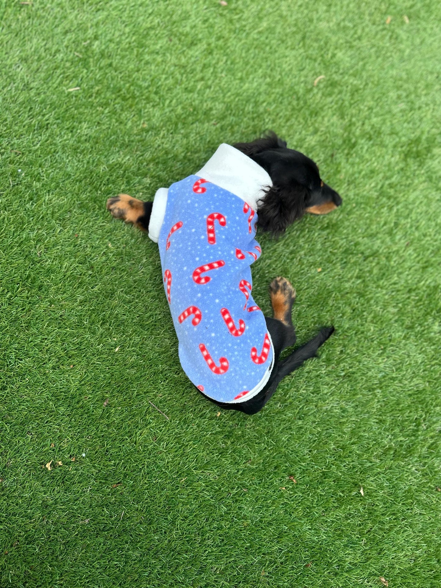 Dachshund Christmas jumper ,dog jumper ,breathable dog jumper, dog jacket,washable dog jumper,Water & Mud Repellent dog suit