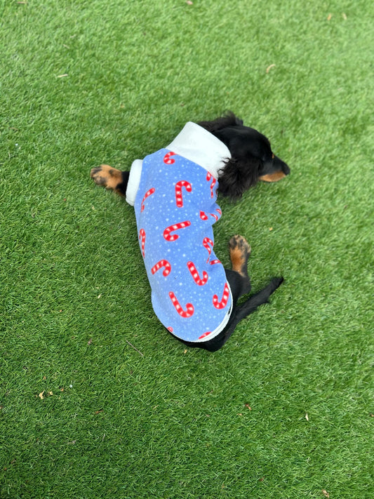Dachshund Christmas jumper ,dog jumper ,breathable dog jumper, dog jacket,washable dog jumper,Water & Mud Repellent dog suit