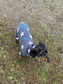 Miniature Dachshund Fleece Onesie: Water Repellent Dog Jumpsuit