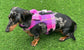 Dachshund Harris tweed harness ,dog harness ,dachshund vest harness ,no armpit rub harness