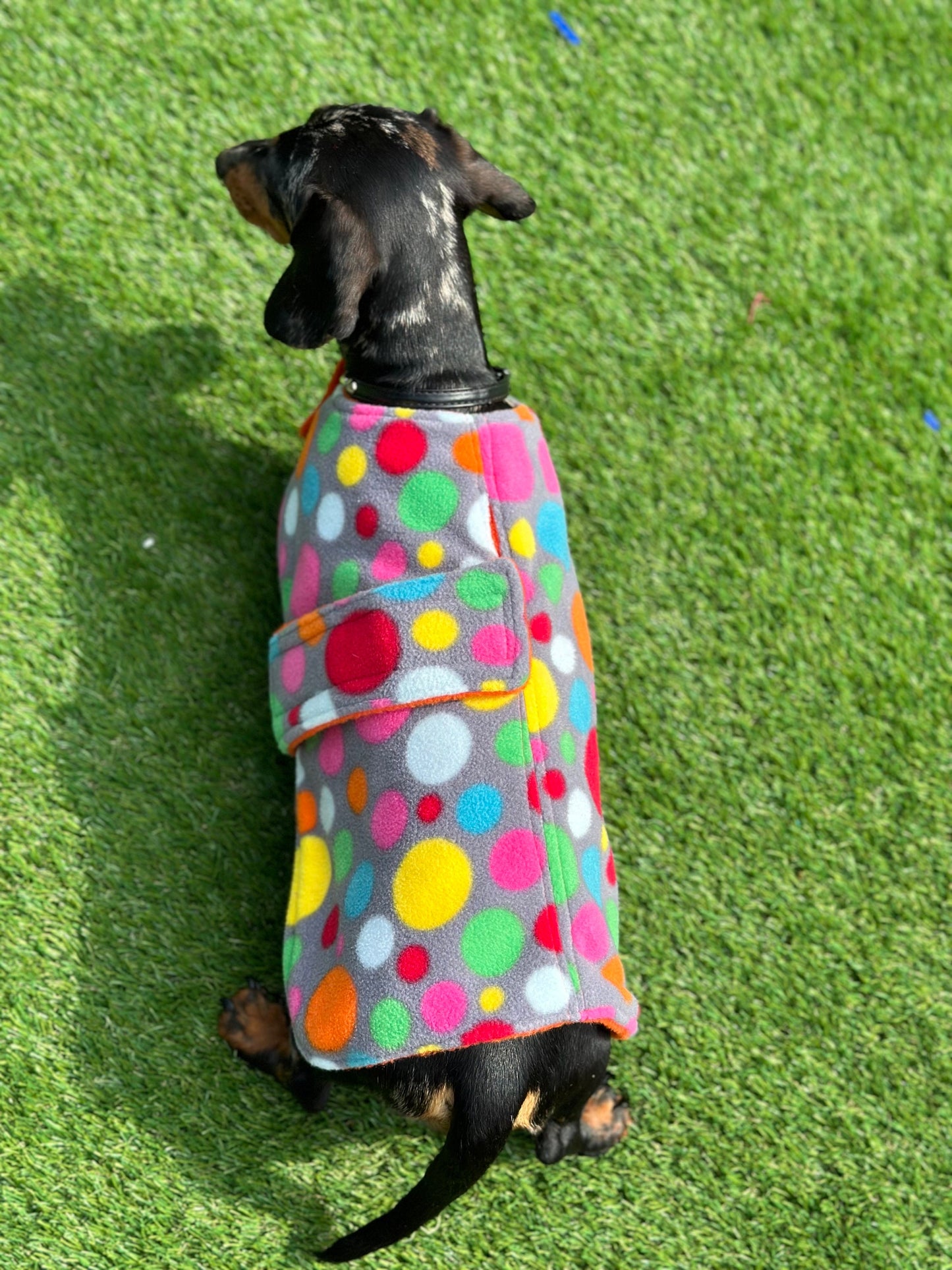 Polka Dot Dachshund Fleece Dog Coat: Water & Mud Repellent