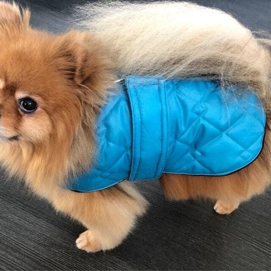Dachshund Quilted Dog Coat: Water-Resistant Fleece Lined Winter Jacket