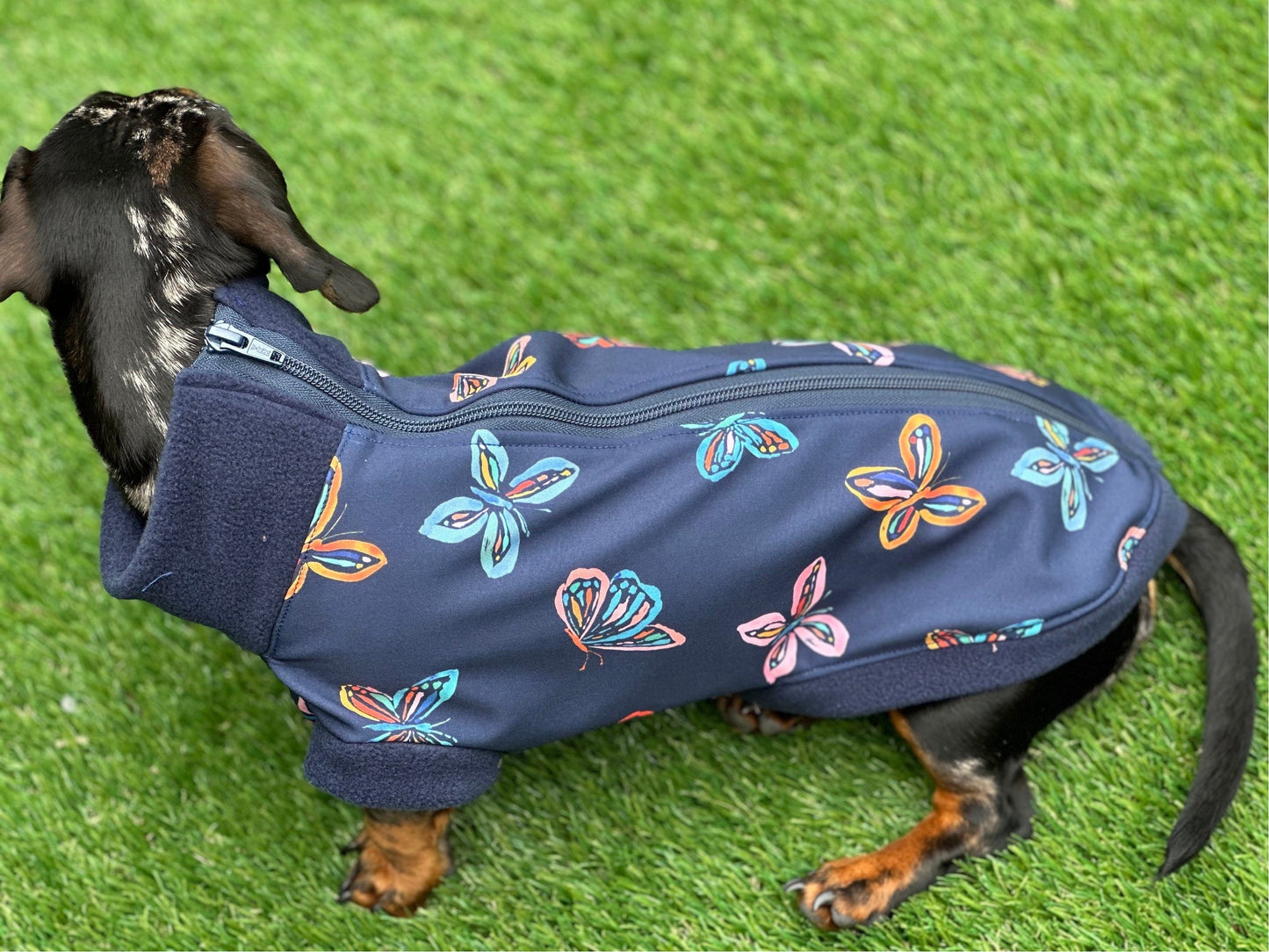 Dachshund zipped Softshell waterproof  fleece ,dachshund zipped  jumper ,dachshund jacket,water and mud repellent fleece , dachshund fleece