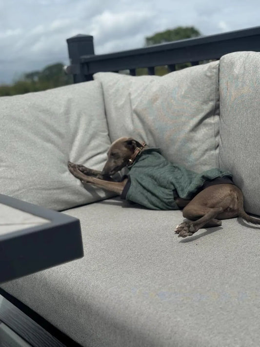 Cable Knit Fleece Italian Greyhound Jumper: Cozy Thermal Dog Fleece.