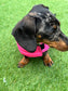 Flo Pink Quilted Dachshund Dog Coat: Waterproof Winter Jacket