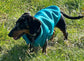 Dachshund Neoprene Dog Jumper: Stretchy, Insulated, Open-Neck