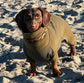 Mini Dachshund Fleece Onesie: Waterproof Tummy, Mud Repellent Dog Jumpsuit
