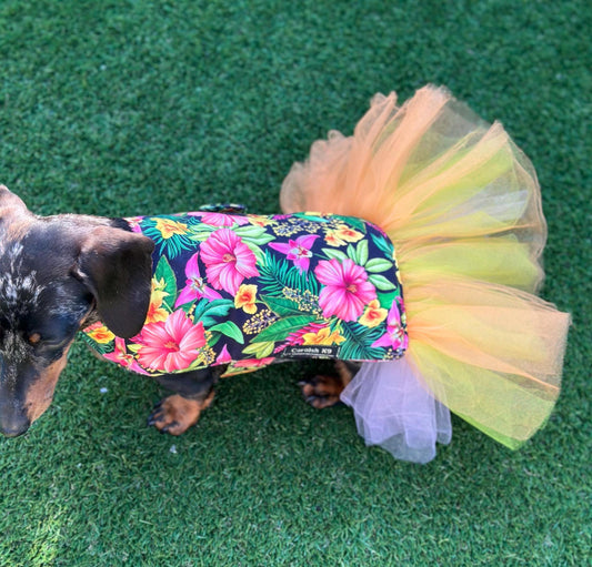 Dachshund Tutu Dog Dress: Handmade Cotton Party Outfit