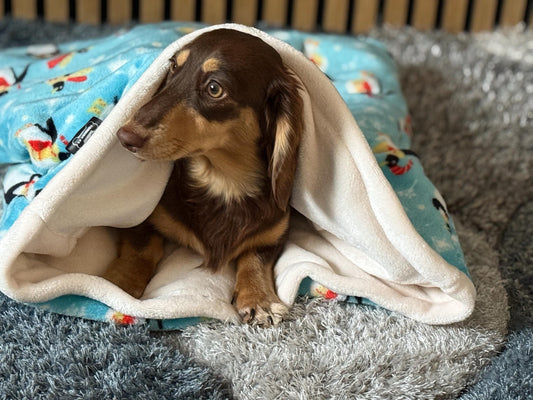 Christmas Penguin Fleece Dog Snuggle Sack: Padded Dachshund Bed
