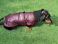 Dachshund Dry wax  dog coat,dog coat ,winter dog coat , dachshund coat ,belly covering dog coat,waterproof dachshund coat
