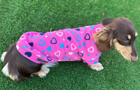 Dachshund Heart Fleece Dog Coat: Water Repellent, Breathable Jumper