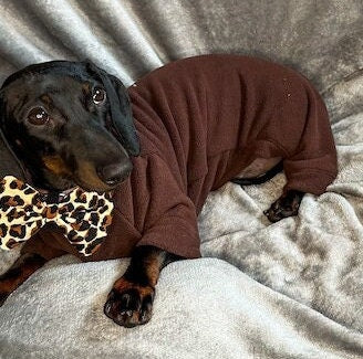 Water Resistant Fleece Dachshund Onesie: Mud Repellent Dog Coat