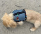 Made-to-Order Dachshund Harness: Petrol Spacer Mesh, No Armpit Rub