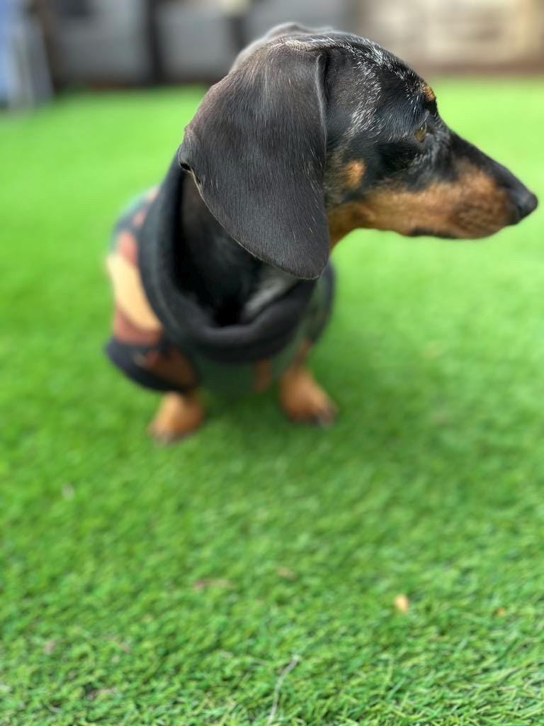 Camouflage Dachshund Fleece Jumper: Breathable, Warm Dog Jacket