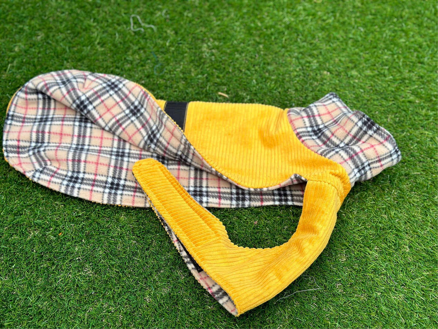 Corduroy Dachshund Coat: Fleece Lined Dog Jacket