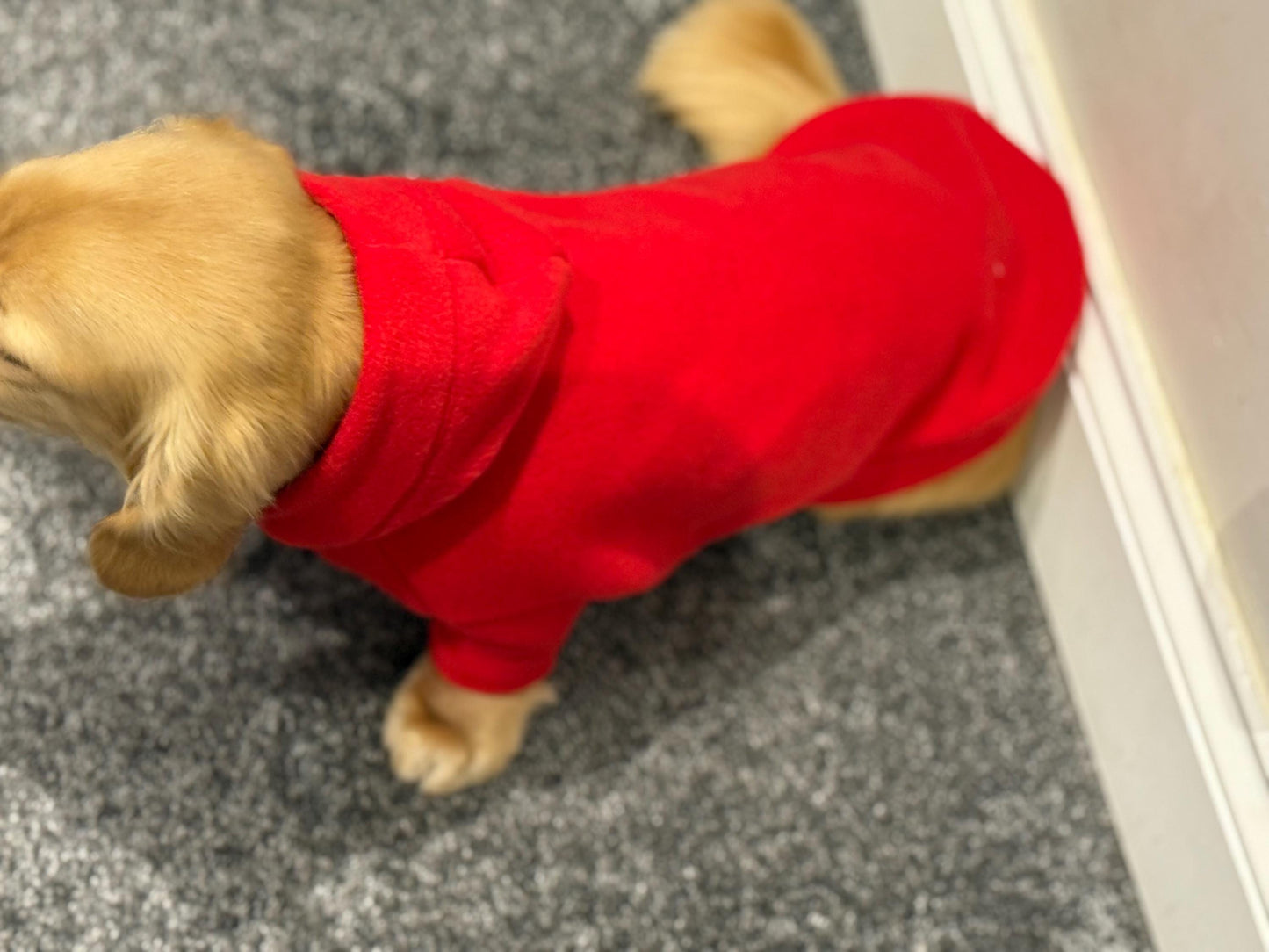 Water & Mud Repellent Dachshund Fleece Hoodie: Front Leg Jumper