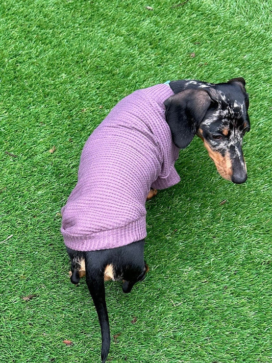 Dachshund Waffle Knit Jersey Top: Handmade Dog Jumper