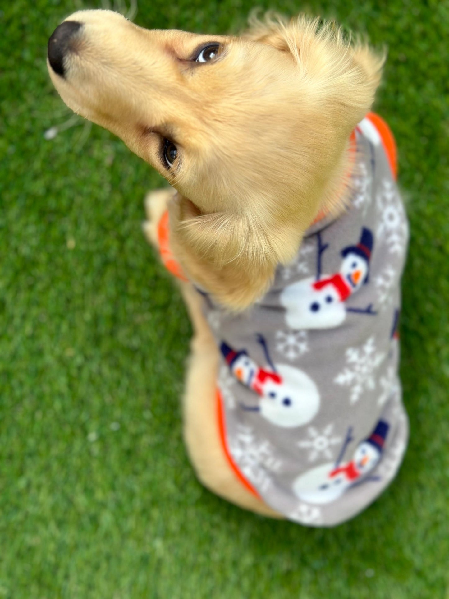 Dachshund Christmas jumper ,dog jumper ,breathable dog jumper, dog jacket,washable dog jumper,Water & Mud Repellent dog suit