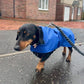 Made to Measure Waterproof Dachshund Dog Coat: Fleece Lined Winter Wear