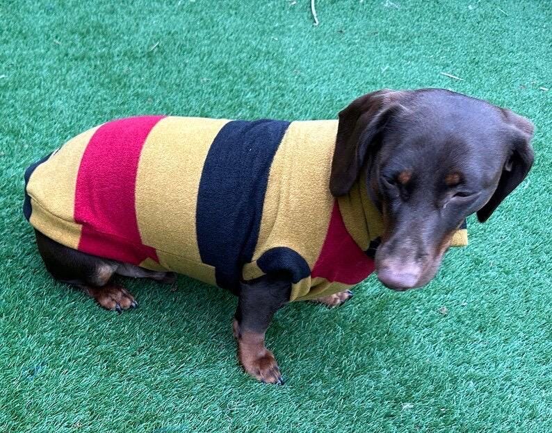 Dachshund Fleece Dog Jumper: Breathable, Washable, Open Neck